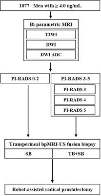 Diagnostic performance of transperineal prostate targeted biopsy alone according to the PI-RADS score based on bi-parametric magnetic resonance imaging